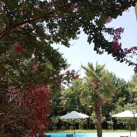 B&B Villa delle palme-2